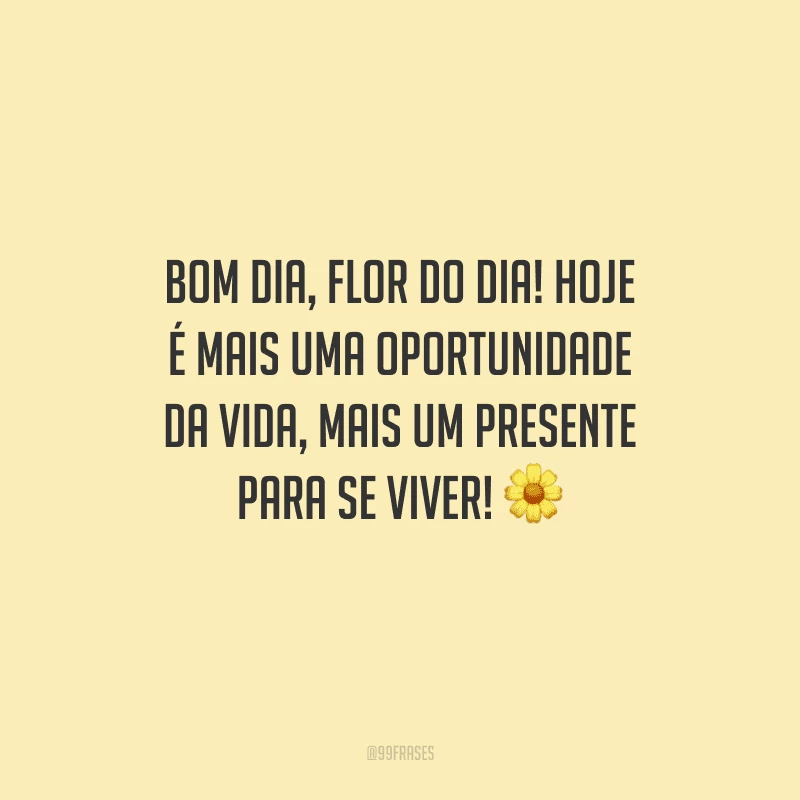 Bom dia, flor do dia! Hoje é mais uma oportunidade da vida, mais um presente para se viver! 