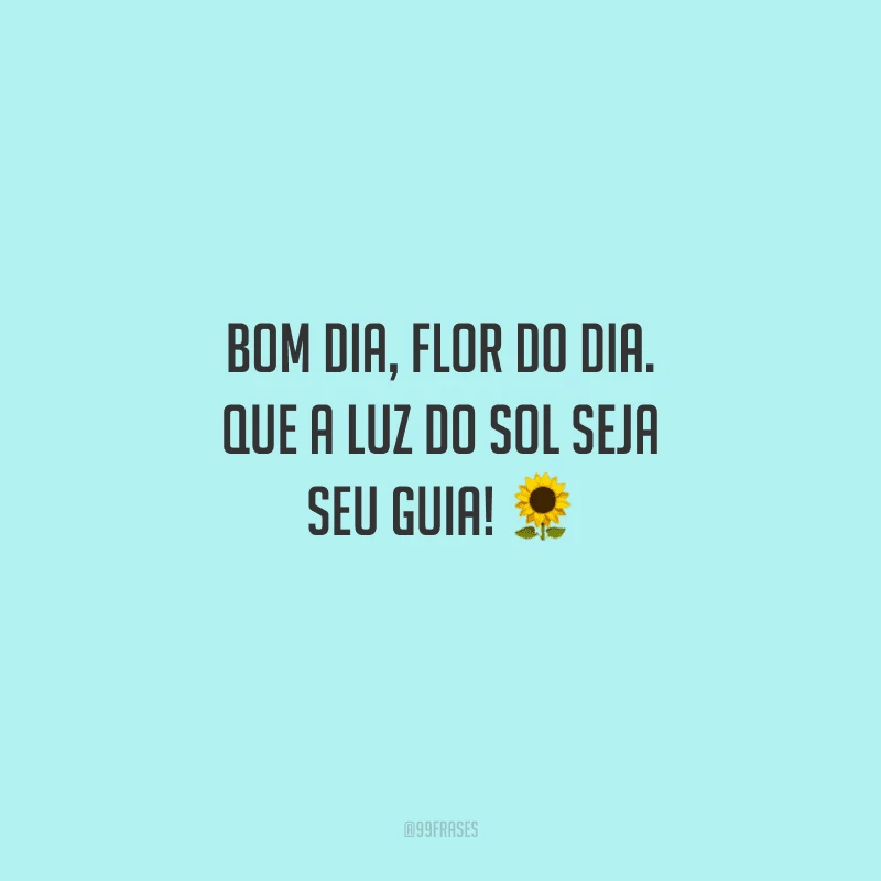 Bom dia, flor do dia. Que a luz do sol seja seu guia! 