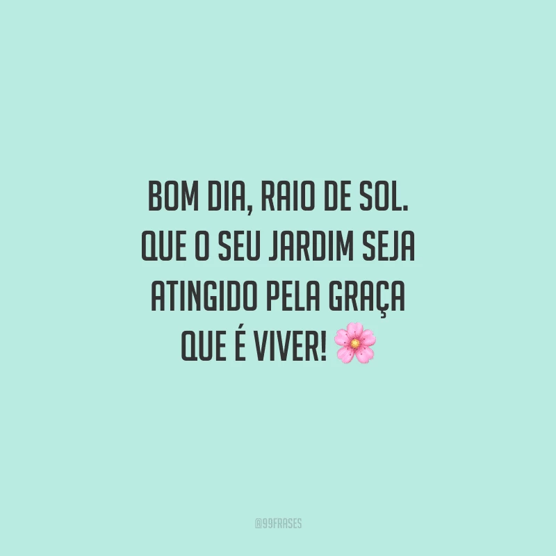 Bom dia, raio de sol. Que o seu jardim seja atingido pela graça que é viver! 