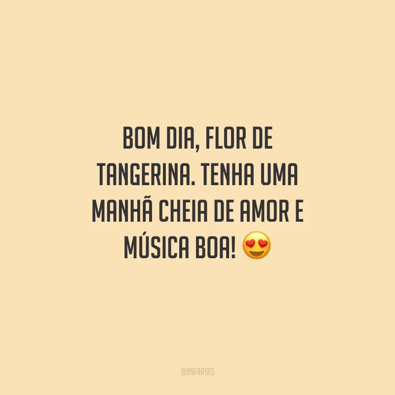 Bom dia, flor de tangerina. Tenha uma manhã cheia de amor e música boa! 