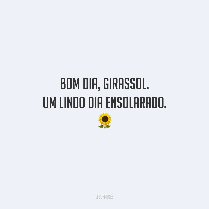 Bom dia, girassol. Um lindo dia ensolarado. 