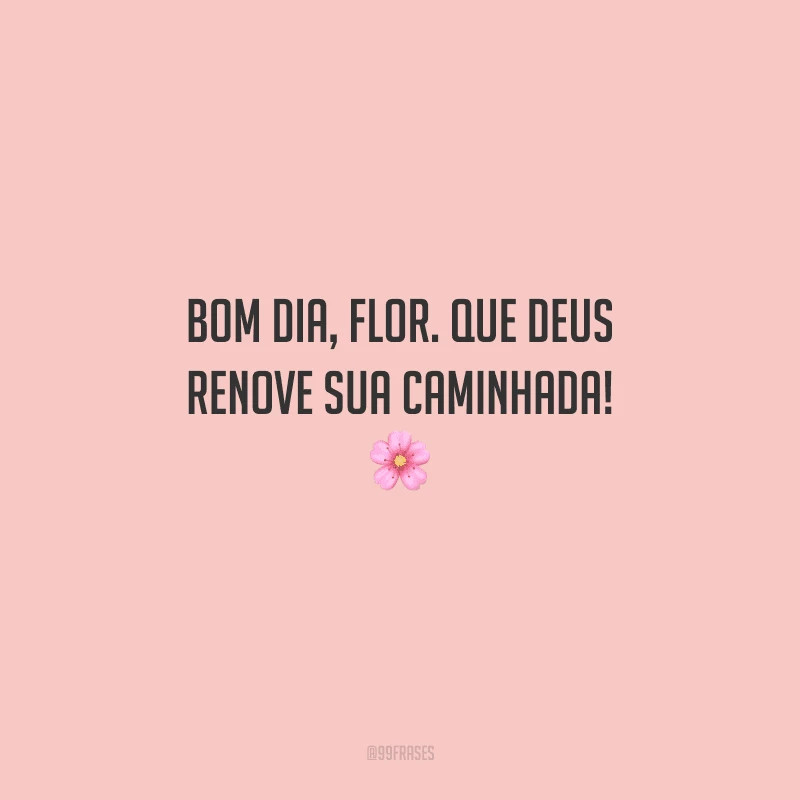 Bom dia, flor. Que Deus renove sua caminhada! 