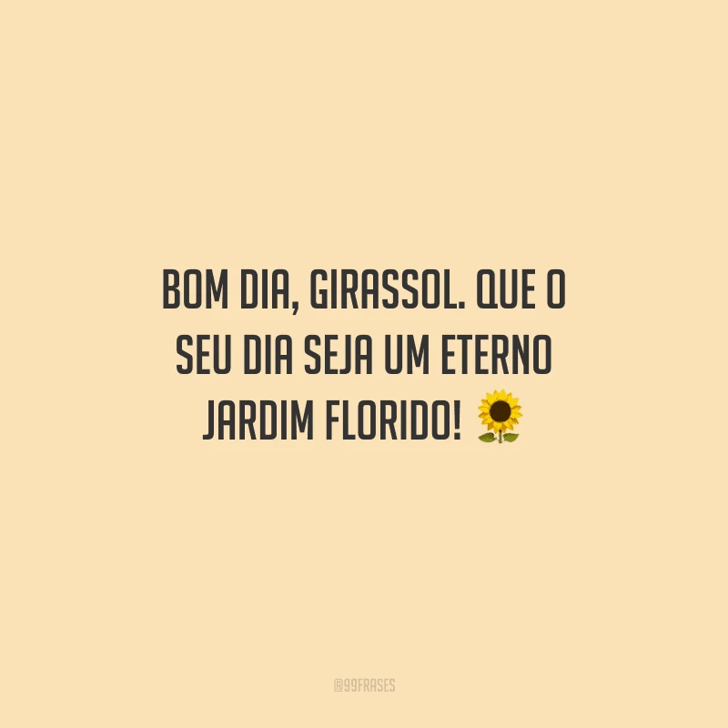 50 frases de bom dia com flores para perfumar sua manhã 50 frases de bom dia com flores para perfumar sua manhã