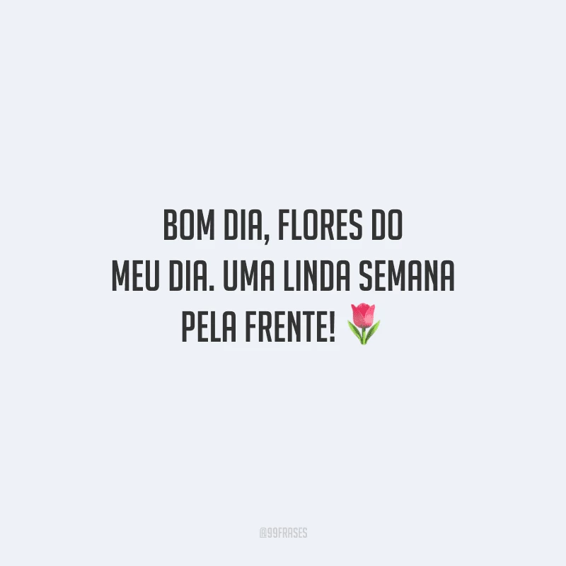 Bom dia, flores do meu dia. Uma linda semana pela frente! 