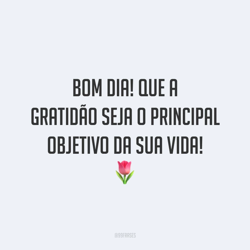 Bom dia! Que a gratidão seja o principal objetivo da sua vida! 🌷