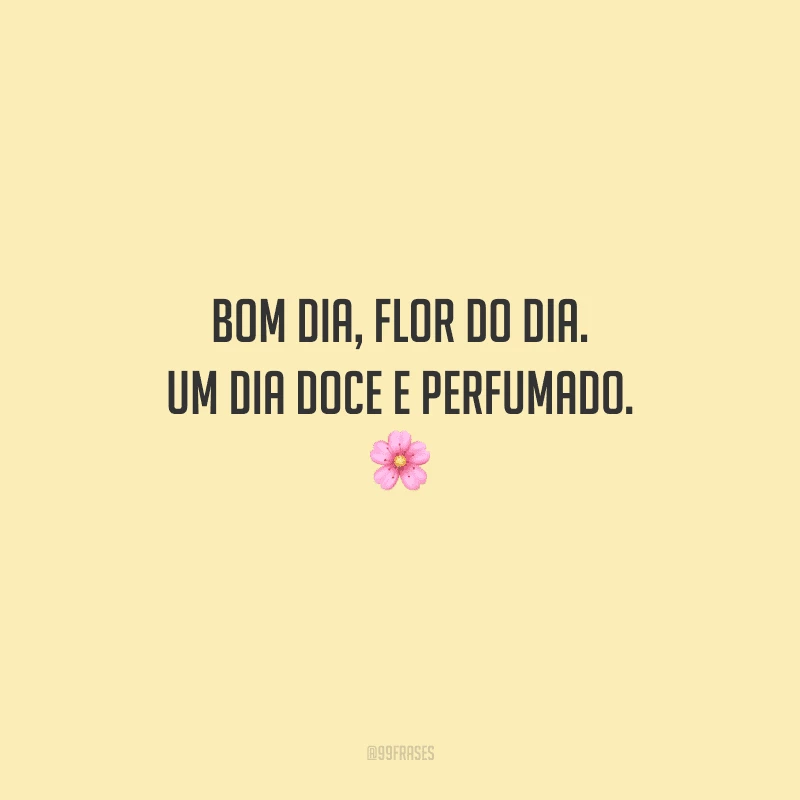 Bom dia, flor do dia. Um dia doce e perfumado. 