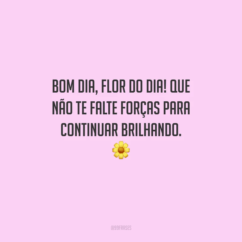 Bom dia, flor do dia! Que não te falte forças para continuar brilhando. 