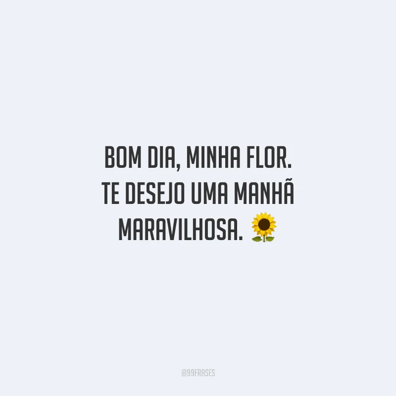 Bom dia, minha flor. Te desejo uma manhã maravilhosa. 