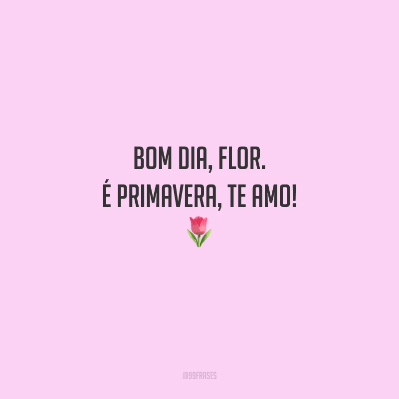 Bom dia, flor. É primavera, te amo! 
