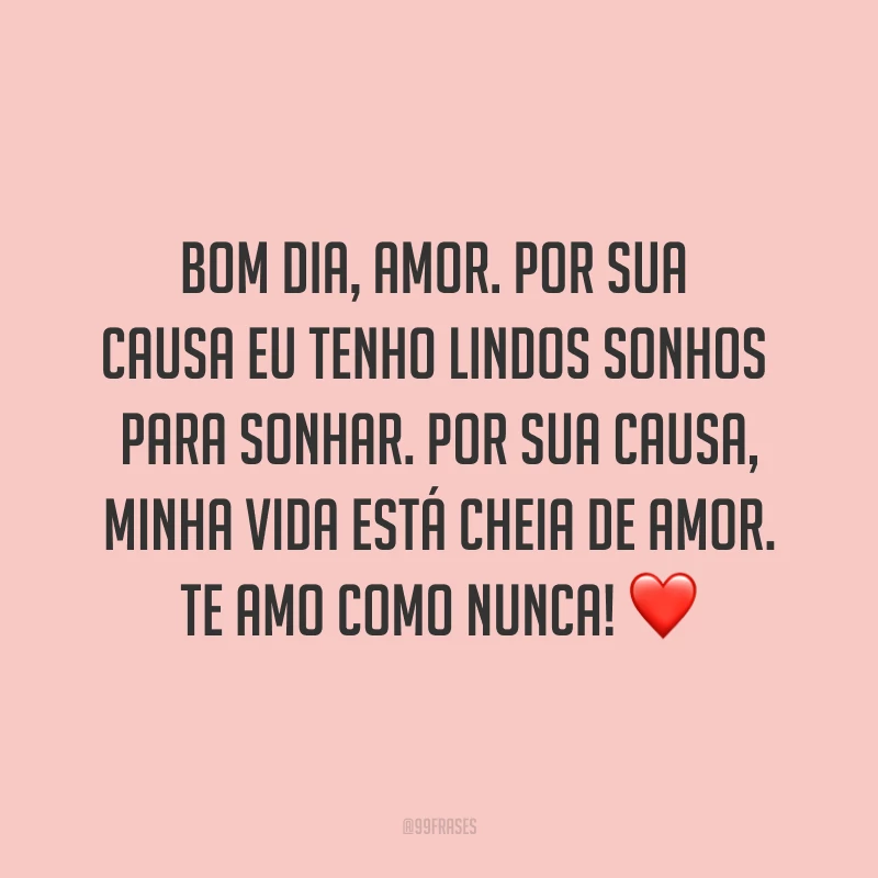 Bom dia, amor. Por sua causa eu tenho lindos sonhos para sonhar. Por sua causa, minha vida está cheia de amor. Te amo como nunca! ❤
