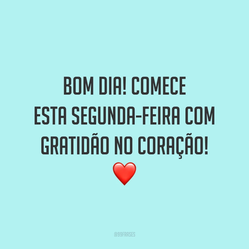 Bom dia! Comece esta segunda-feira com gratidão no coração! ❤️