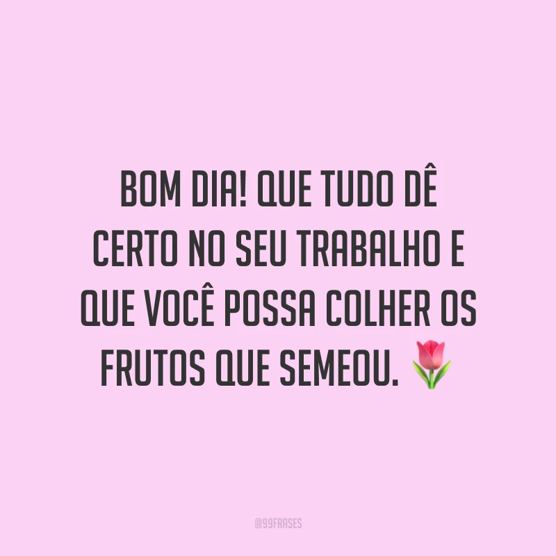 Bom dia! Que tudo dê certo no seu trabalho e que você possa colher os frutos que semeou.
