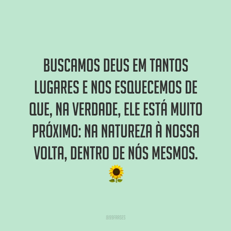 Buscamos Deus em tantos lugares e nos esquecemos de que, na verdade, ele está muito próximo: na natureza à nossa volta, dentro de nós mesmos. 🌻