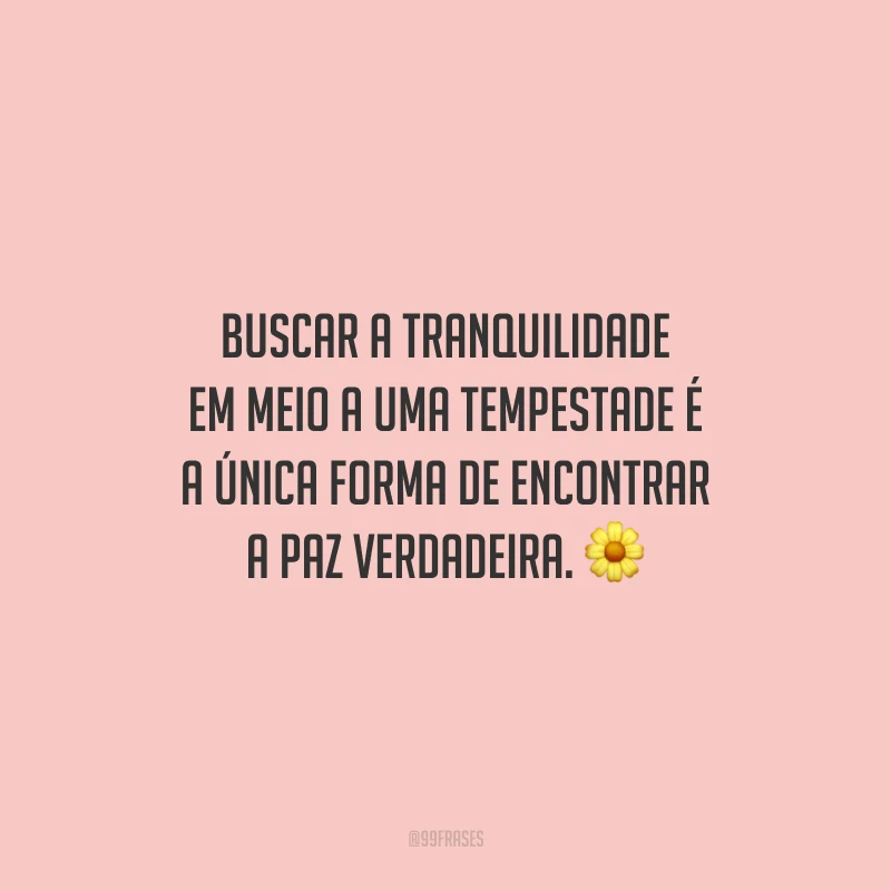 Buscar a tranquilidade em meio a uma tempestade é a única forma de encontrar a paz verdadeira. 🌼