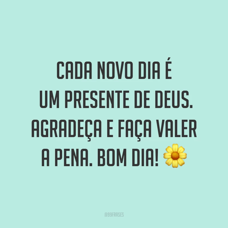 Cada novo dia é um presente de Deus. Agradeça e faça valer a pena. Bom dia! ?