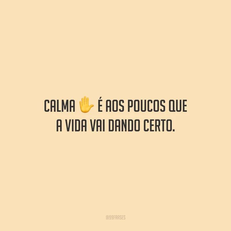 Calma, é aos poucos que a vida vai dando certo.
