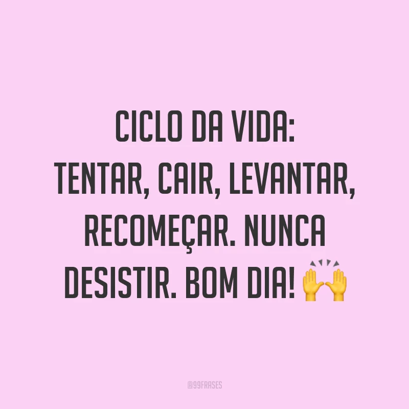 Ciclo da vida: tentar, cair, levantar, recomeçar. Nunca desistir. Bom dia! 🙌