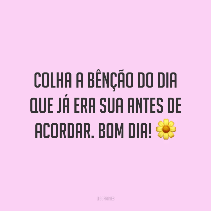 Colha a bênção do dia que já era sua antes de acordar. Bom dia! ?
