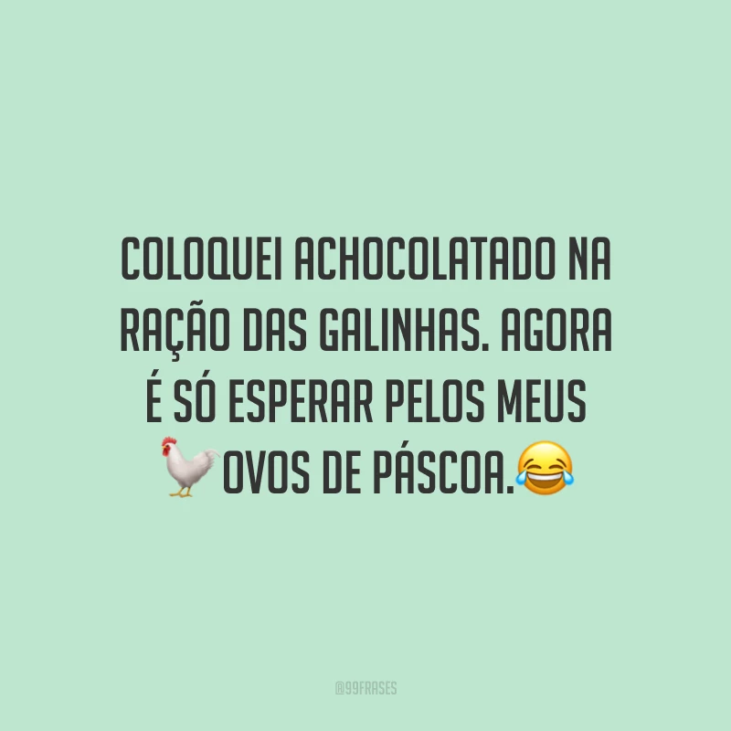 Coloquei achocolatado na ração das galinhas. Agora é só esperar pelos meus ovos de Páscoa.