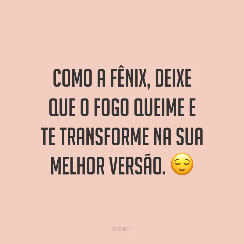 Como a fênix, deixe que o fogo queime e te transforme na sua melhor versão. ?