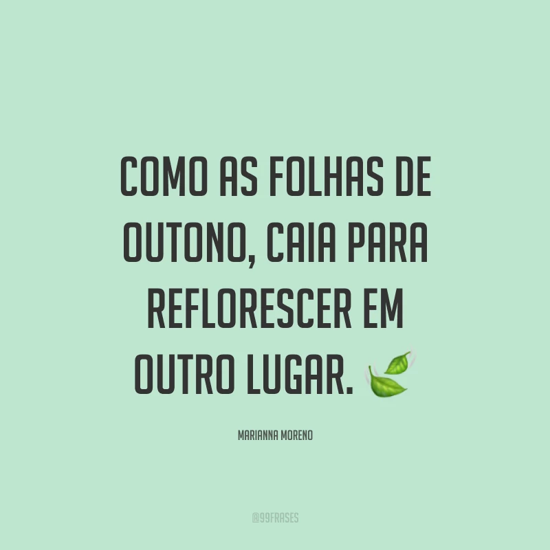 Como as folhas de outono, caia para reflorescer em outro lugar. ?
