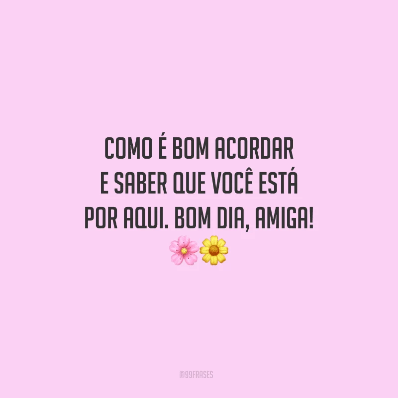 Como é bom acordar e saber que você está por aqui. Bom dia, amiga!