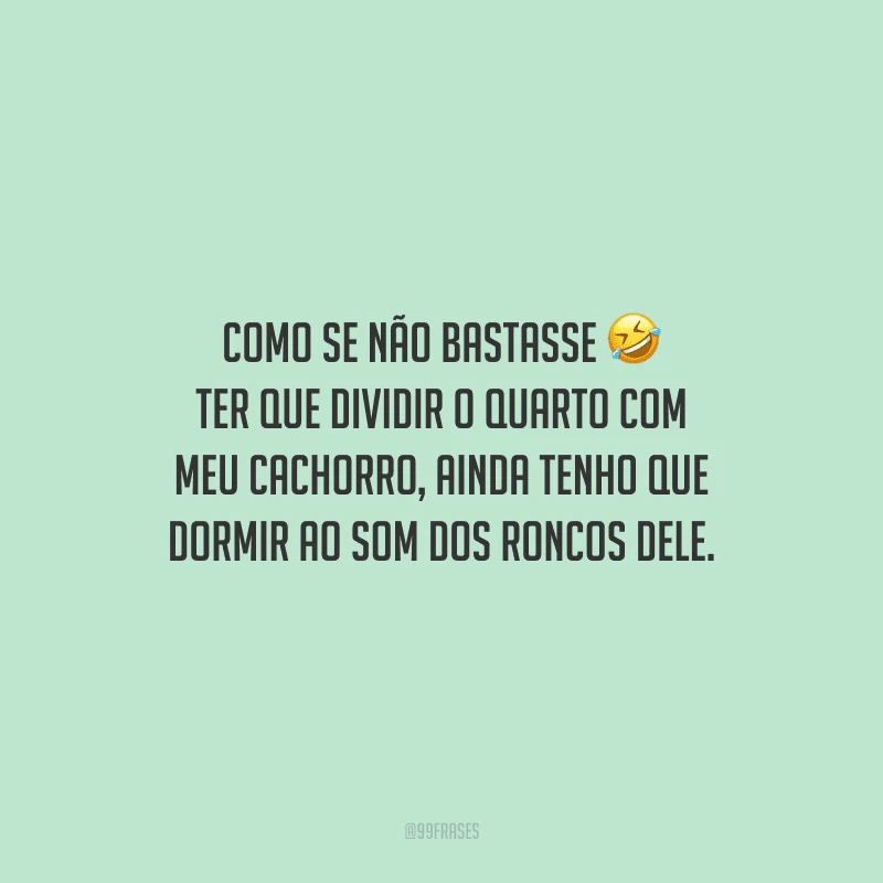 Como se não bastasse ter que dividir o quarto com meu cachorro, ainda tenho que dormir ao som dos roncos dele.