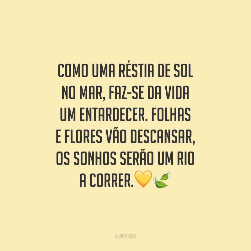 Como uma réstia de sol no mar, faz-se da vida um entardecer. Folhas e flores vão descansar, os sonhos serão um rio a correr.
