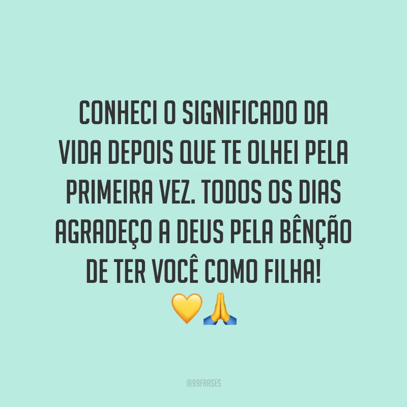Conheci o significado da vida depois que te olhei pela primeira vez. Todos os dias agradeço a Deus pela bênção de ter você como filha!