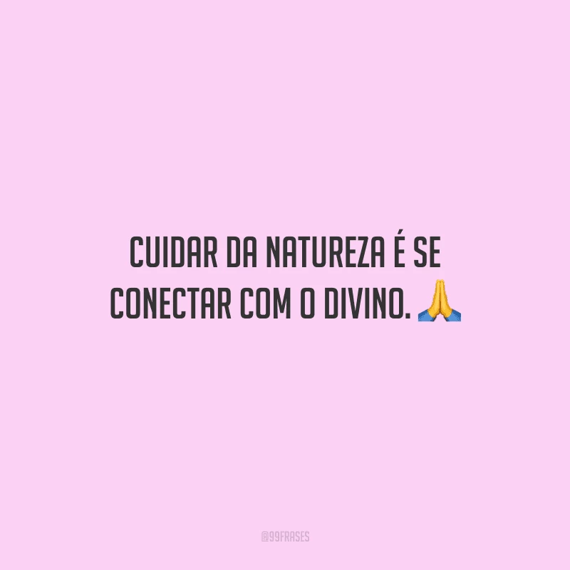Cuidar da natureza é se conectar com o divino. 