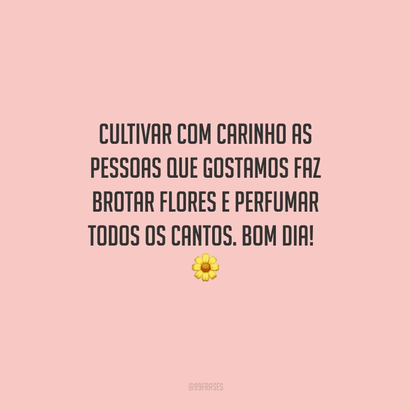 Cultivar com carinho as pessoas que gostamos faz brotar flores e perfumar todos os cantos. Bom dia!  
