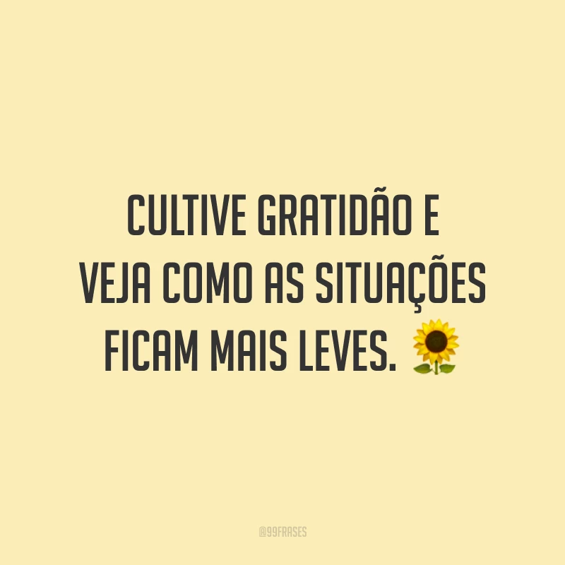 Cultive gratidão e veja como as situações ficam mais leves. 🌻