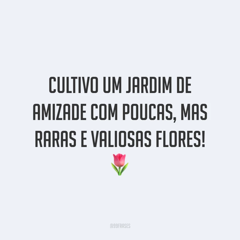 Cultivo um jardim de amizade com poucas, mas raras e valiosas flores! 🌷