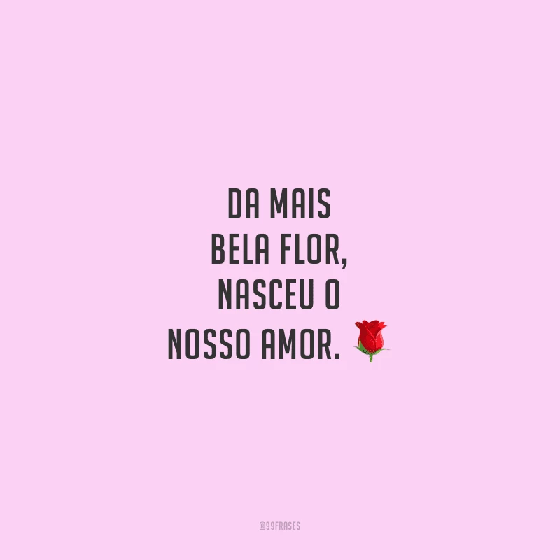 Da mais bela flor, nasceu o nosso amor.