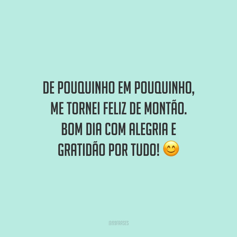 De pouquinho em pouquinho, me tornei feliz de montão. Bom dia com alegria e gratidão por tudo!
