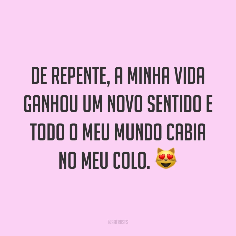 De repente, a minha vida ganhou um novo sentido e todo o meu mundo cabia no meu colo. ?