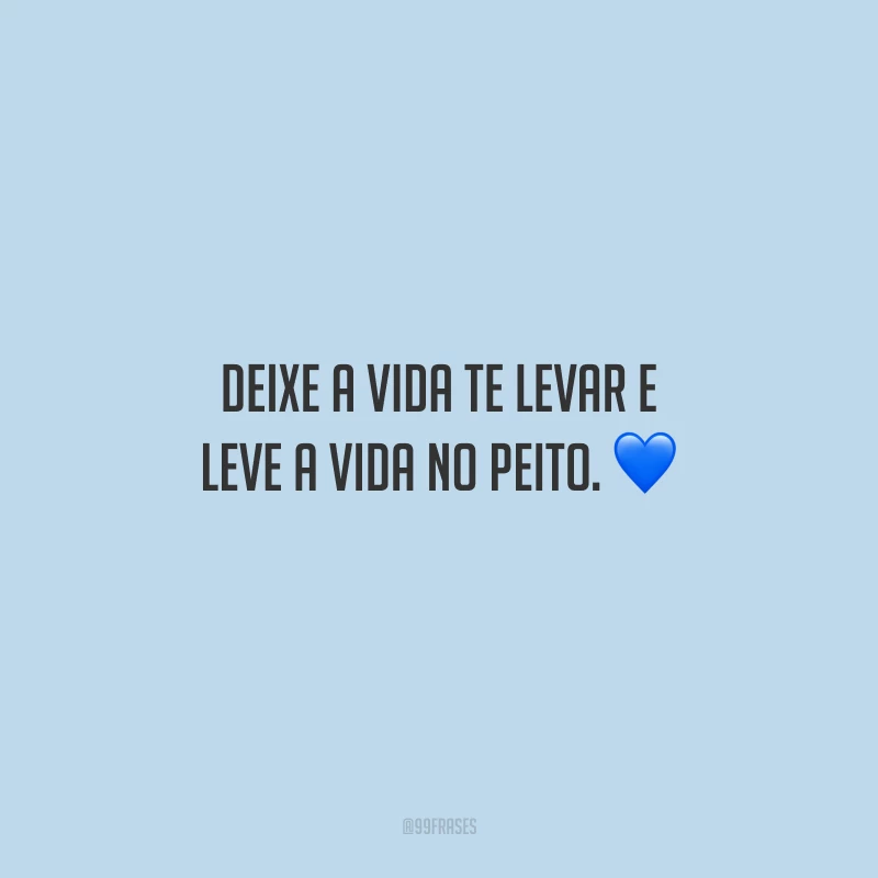 Deixe a vida te levar e leve a vida no peito.