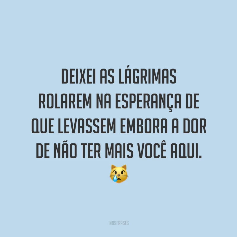 Deixei as lágrimas rolarem na esperança de que levassem embora a dor de não ter mais você aqui. ?