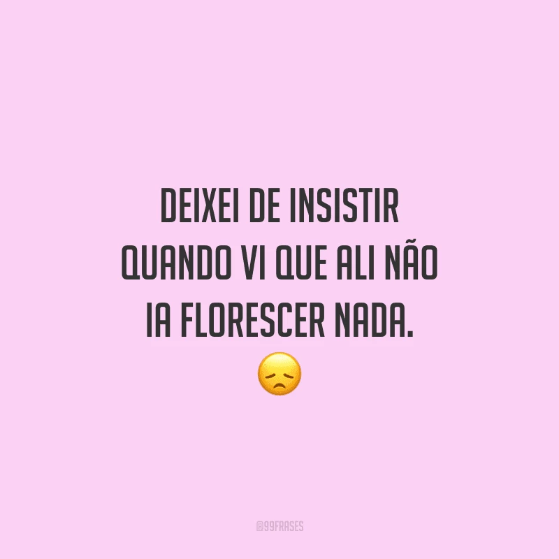 Deixei de insistir quando vi que ali não ia florescer nada. 