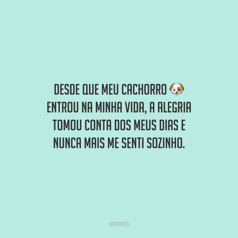Desde que meu cachorro entrou na minha vida, a alegria tomou conta dos meus dias e nunca mais me senti sozinho.