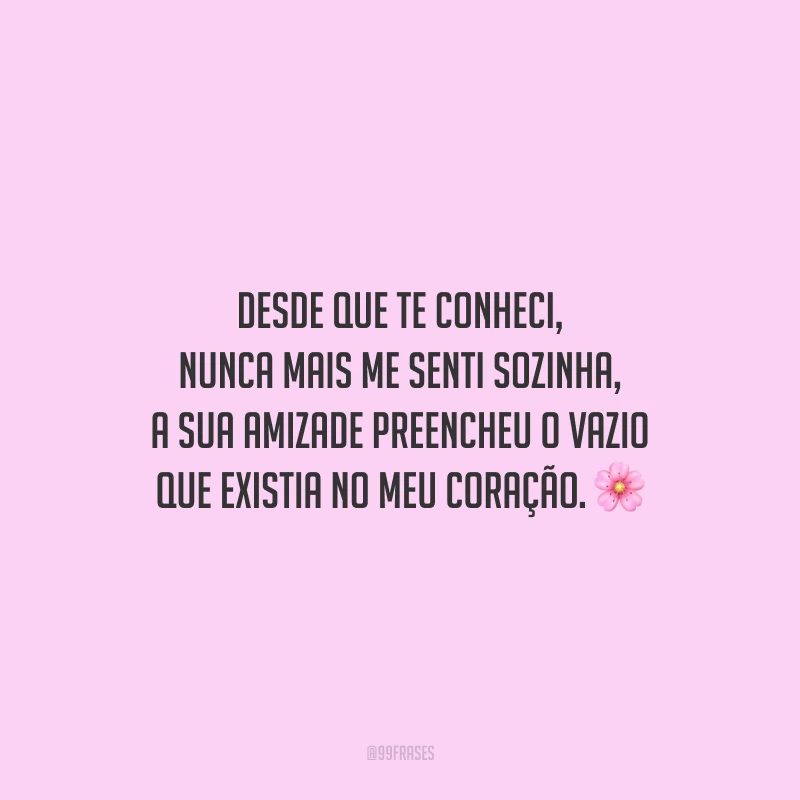 Desde que te conheci, nunca mais me senti sozinha, a sua amizade preencheu o vazio que existia no meu coração.