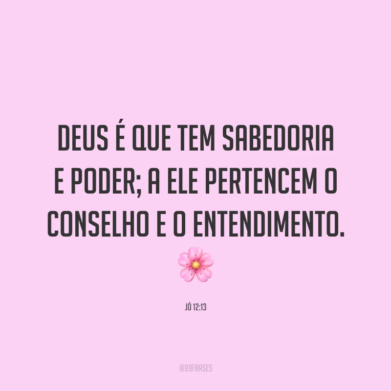 Deus é que tem sabedoria e poder; a ele pertencem o conselho e o entendimento. 🌸