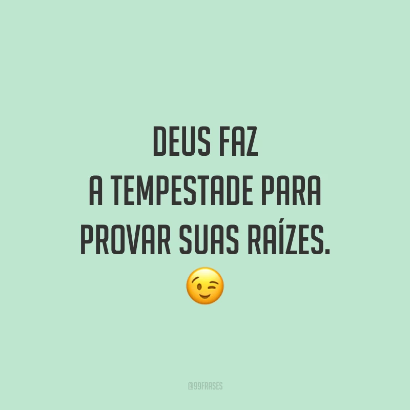 Deus faz a tempestade para provar suas raízes. 😉