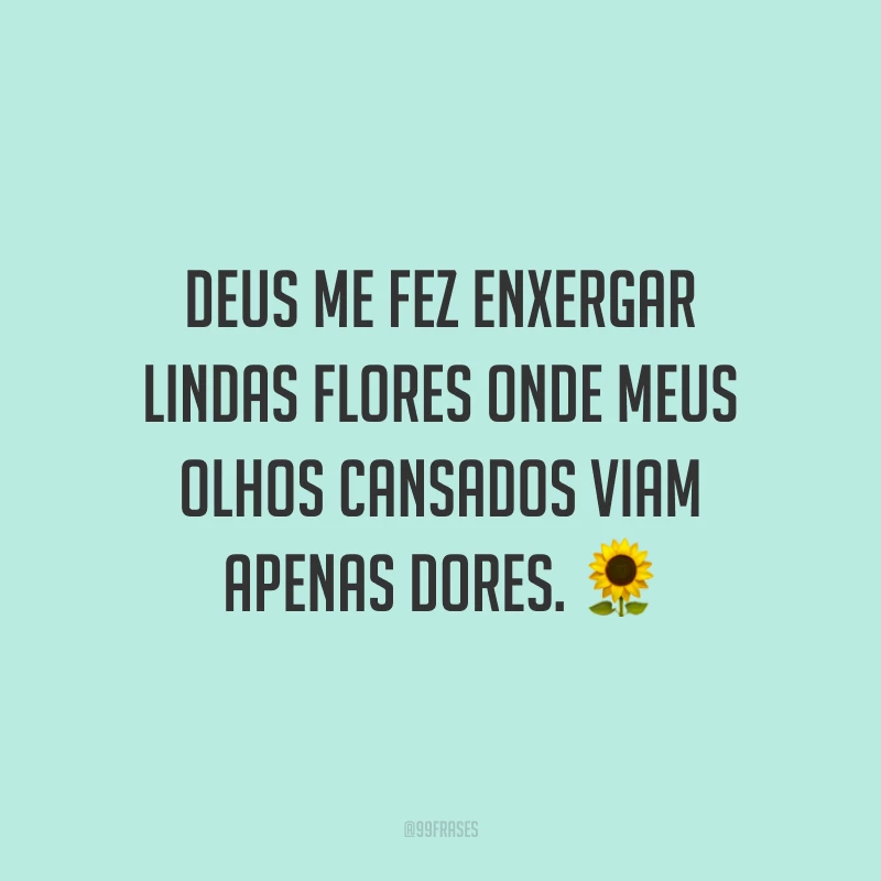 Deus me fez enxergar lindas flores onde meus olhos cansados viam apenas dores. 🌻