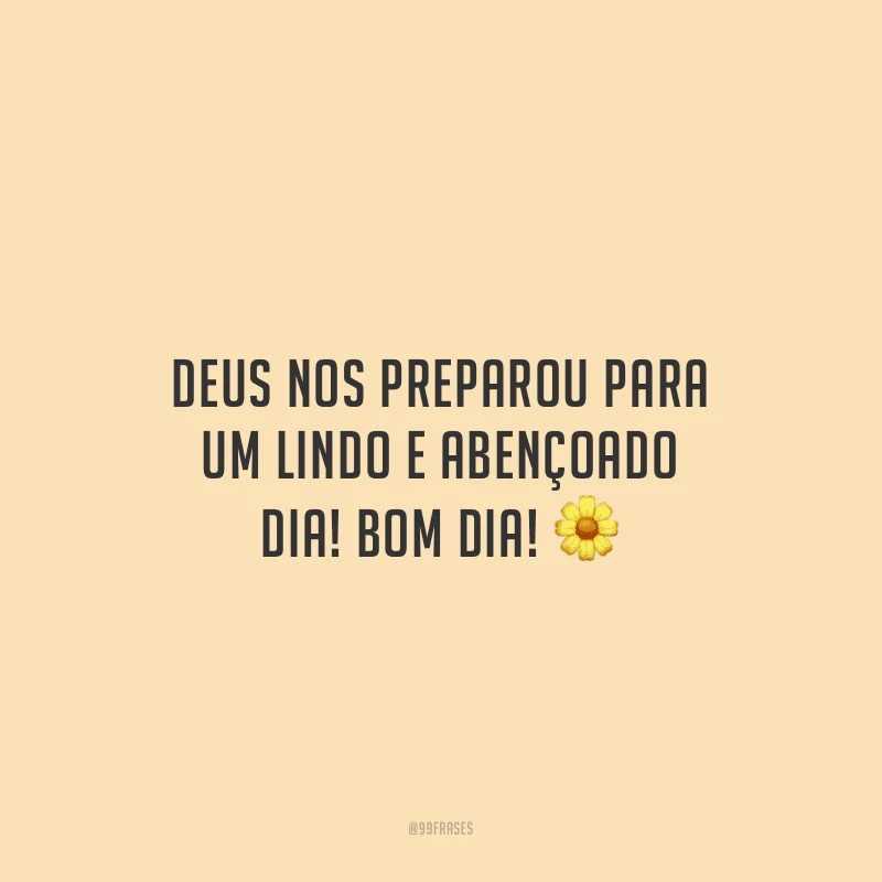 Deus nos preparou para um lindo e abençoado dia! Bom dia!