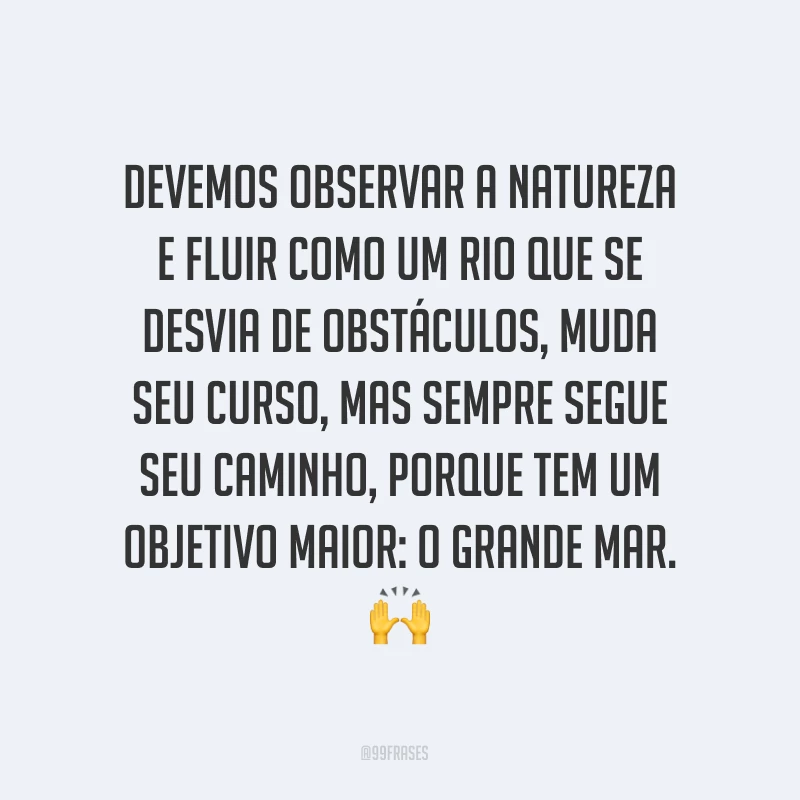 Devemos observar a natureza e fluir como um rio que se desvia de obstáculos, muda seu curso, mas sempre segue seu caminho, porque tem um objetivo maior: o grande mar. ?