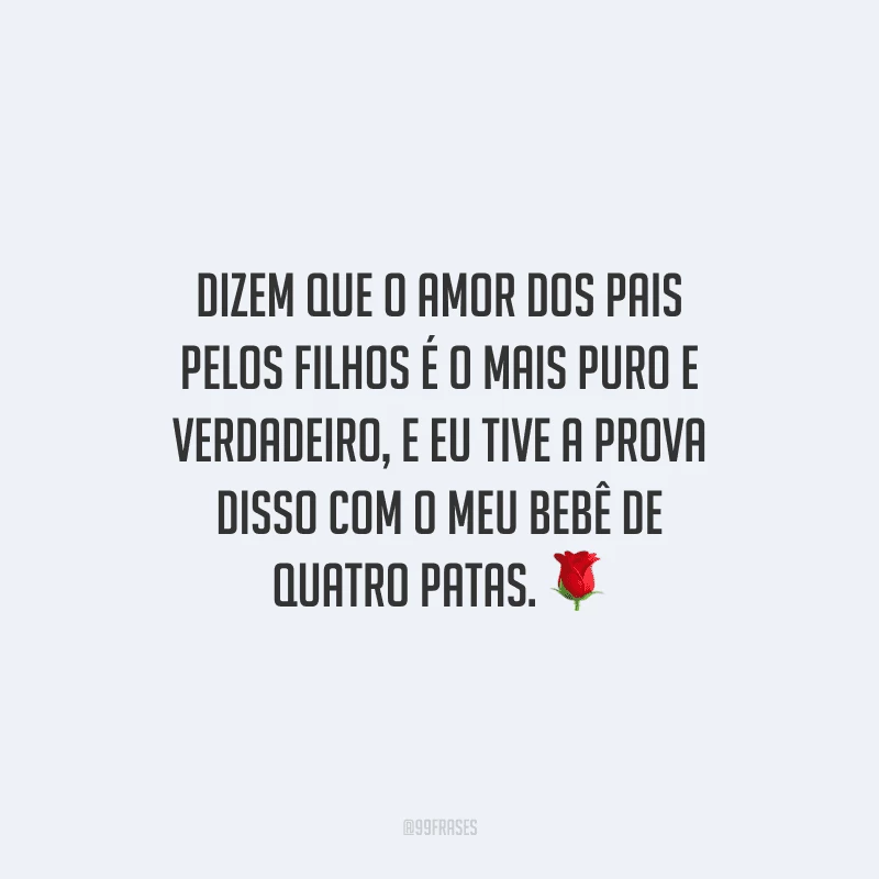 Dizem que o amor dos pais pelos filhos é o mais puro e verdadeiro, e eu tive a prova disso com o meu bebê de quatro patas.
