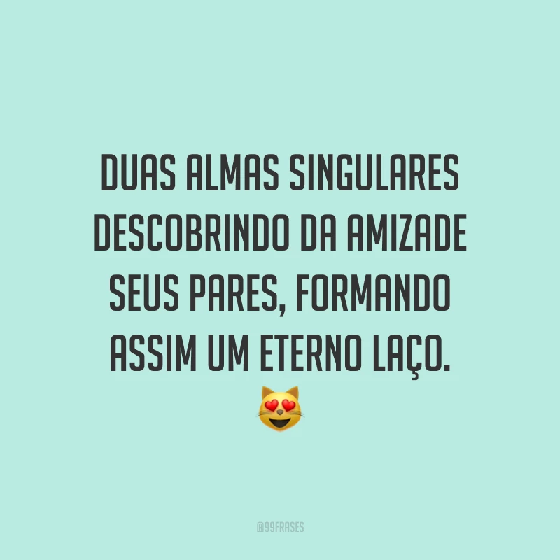Duas almas singulares descobrindo da amizade seus pares, formando assim um eterno laço. 😻