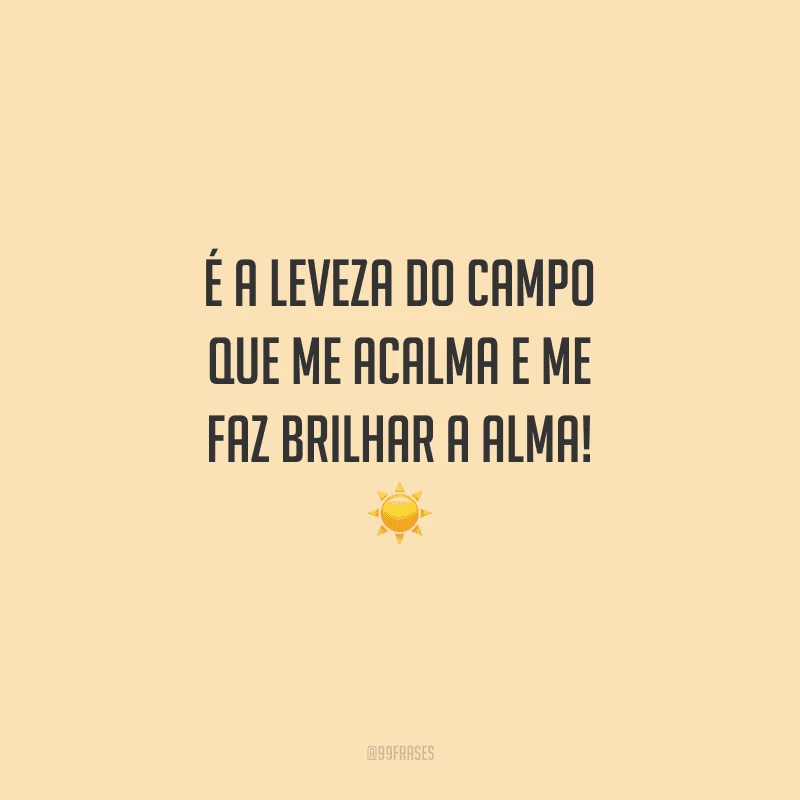 É a leveza do campo que me acalma e me faz brilhar a alma!