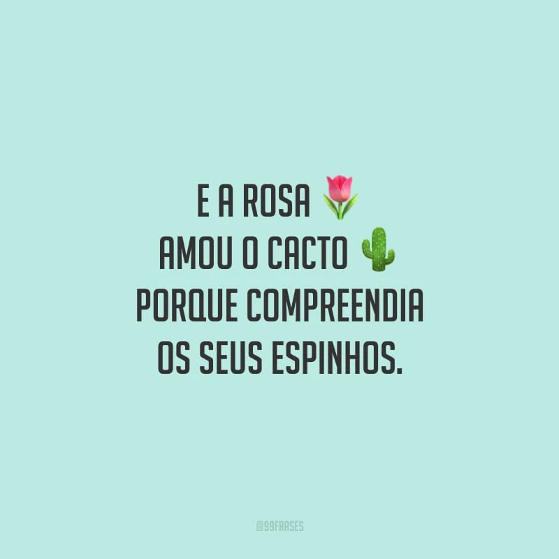 E a rosa amou o cacto porque compreendia os seus espinhos.